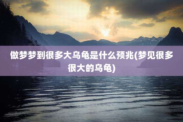 做梦梦到很多大乌龟是什么预兆(梦见很多很大的乌龟)
