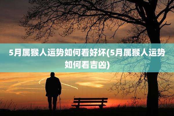 5月属猴人运势如何看好坏(5月属猴人运势如何看吉凶)