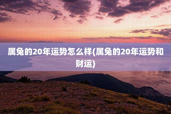 属兔的20年运势怎么样(属兔的20年运势和财运)