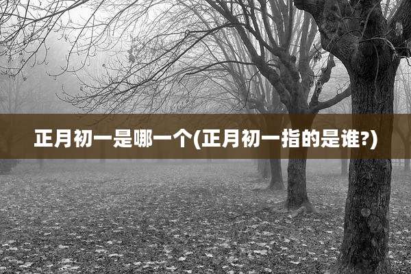 正月初一是哪一个(正月初一指的是谁?)
