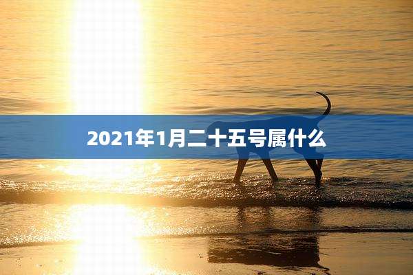 2021年1月二十五号属什么