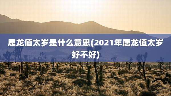 属龙值太岁是什么意思(2021年属龙值太岁好不好)