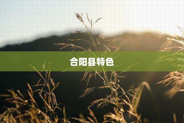 合阳县特色