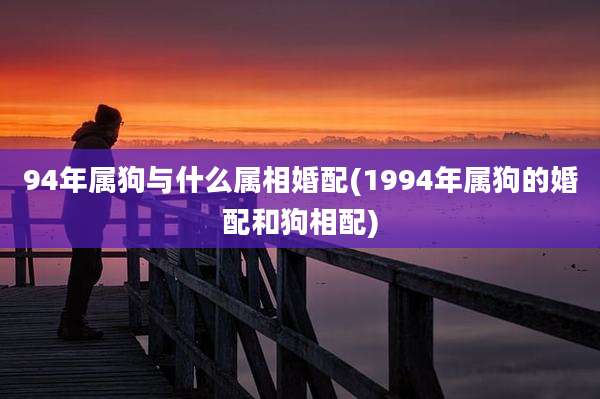 94年属狗与什么属相婚配(1994年属狗的婚配和狗相配)