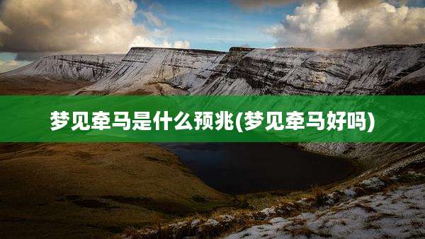 梦见牵马是什么预兆(梦见牵马好吗)