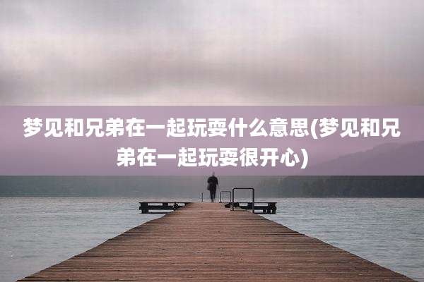 梦见和兄弟在一起玩耍什么意思(梦见和兄弟在一起玩耍很开心)