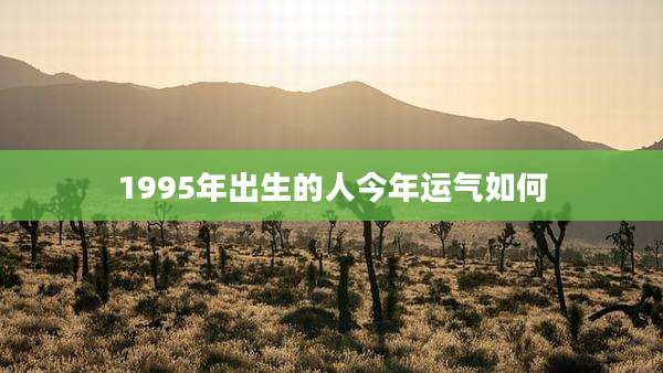1995年出生的人今年运气如何