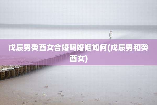 戊辰男癸酉女合婚吗婚姻如何(戊辰男和癸酉女)