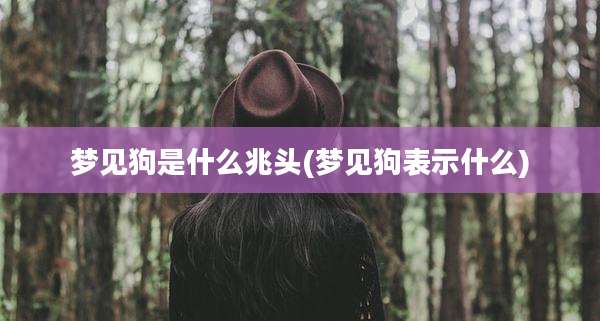 梦见狗是什么兆头(梦见狗表示什么)