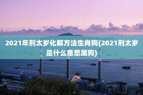 2021年刑太岁化解方法生肖狗(2021刑太岁是什么意思属狗)