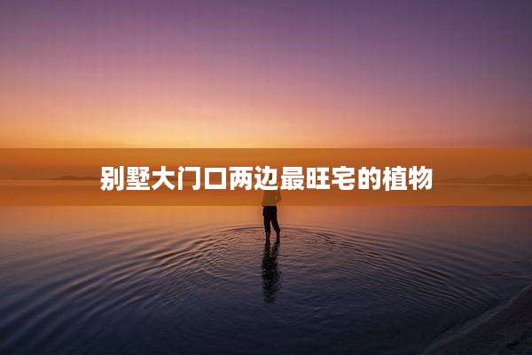 别墅大门口两边最旺宅的植物
