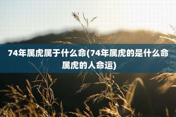 74年属虎属于什么命(74年属虎的是什么命 属虎的人命运)