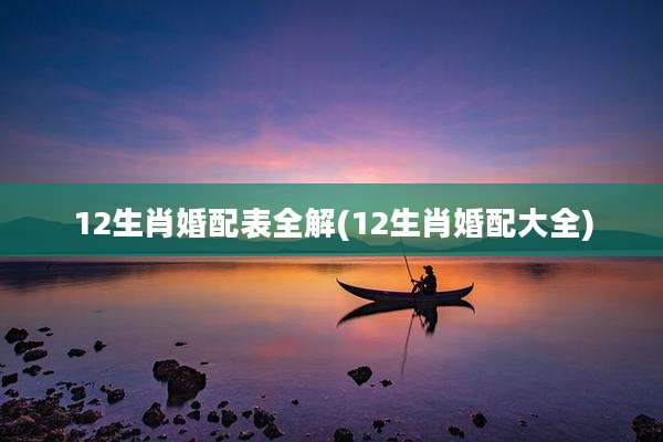 12生肖婚配表全解(12生肖婚配大全)