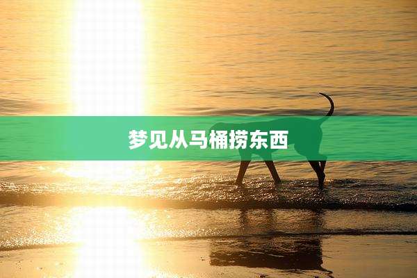 梦见从马桶捞东西
