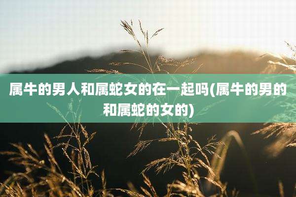 属牛的男人和属蛇女的在一起吗(属牛的男的和属蛇的女的)