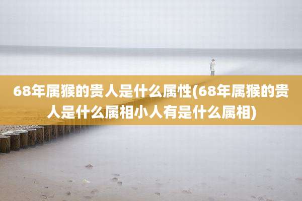 68年属猴的贵人是什么属性(68年属猴的贵人是什么属相小人有是什么属相)