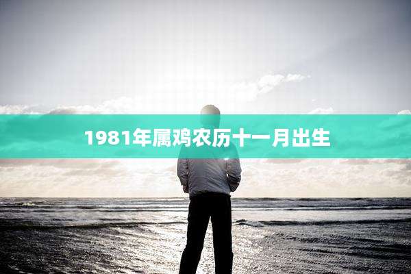 1981年属鸡农历十一月出生