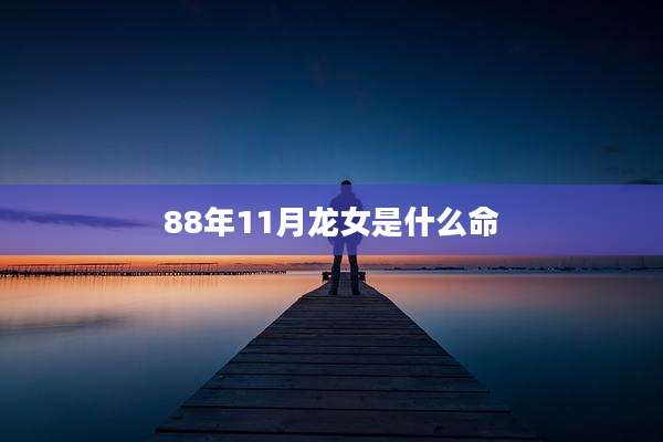 88年11月龙女是什么命