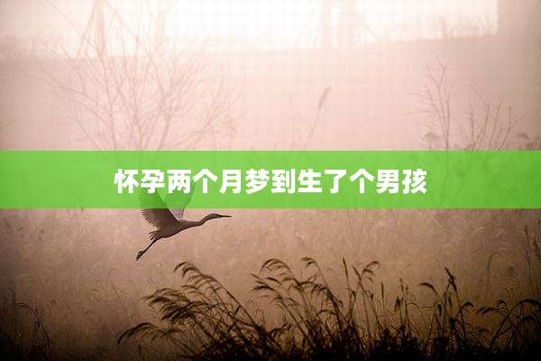 怀孕两个月梦到生了个男孩