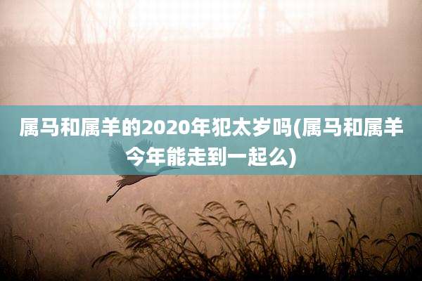 属马和属羊的2020年犯太岁吗(属马和属羊今年能走到一起么)