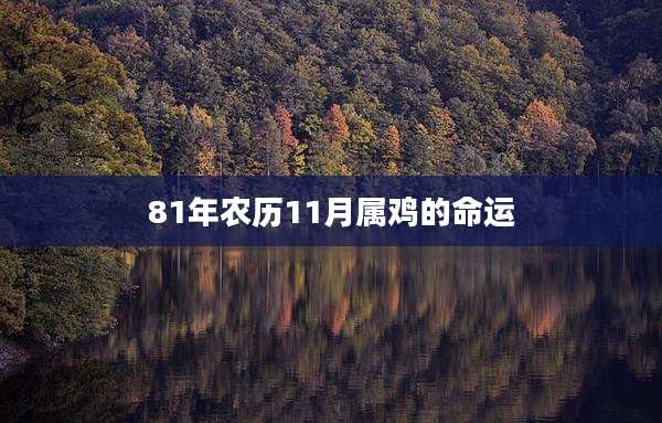 81年农历11月属鸡的命运