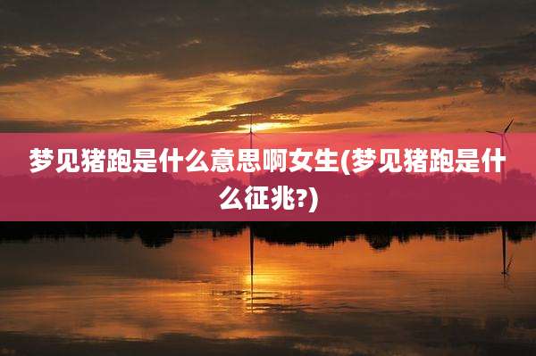梦见猪跑是什么意思啊女生(梦见猪跑是什么征兆?)