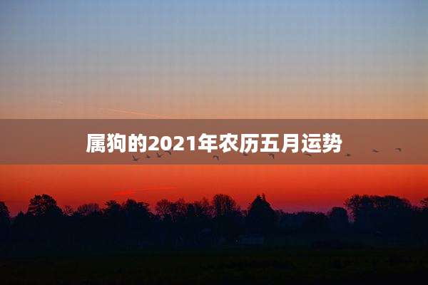 属狗的2021年农历五月运势