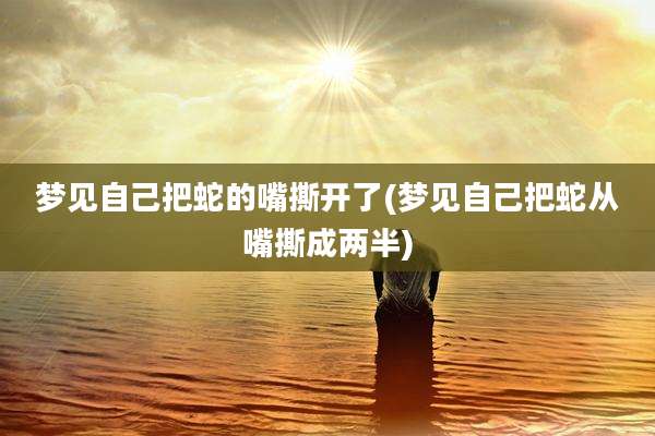梦见自己把蛇的嘴撕开了(梦见自己把蛇从嘴撕成两半)
