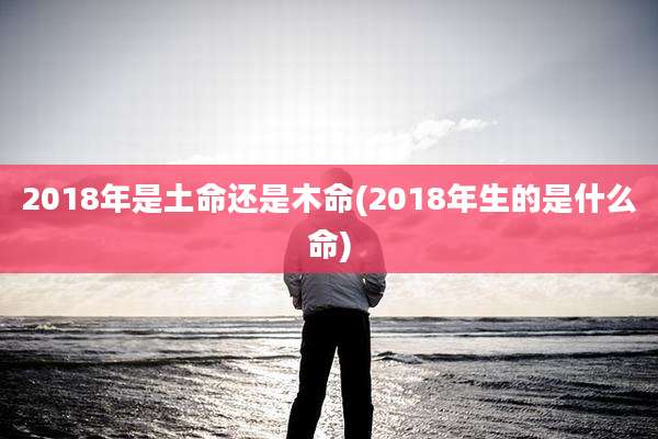 2018年是土命还是木命(2018年生的是什么命)
