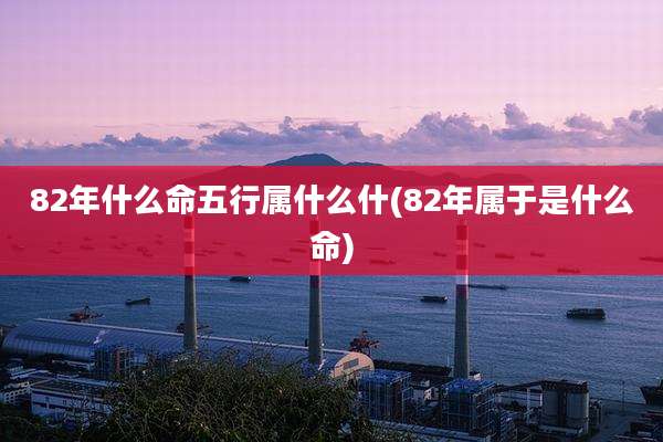 82年什么命五行属什么什(82年属于是什么命)
