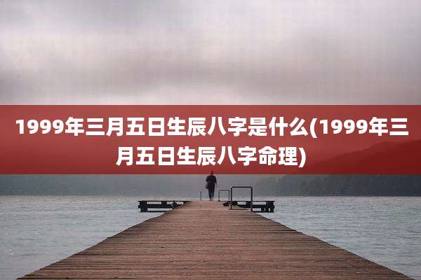 1999年三月五日生辰八字是什么(1999年三月五日生辰八字命理)