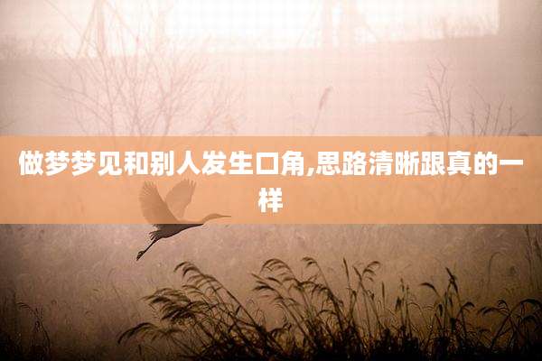 做梦梦见和别人发生口角,思路清晰跟真的一样