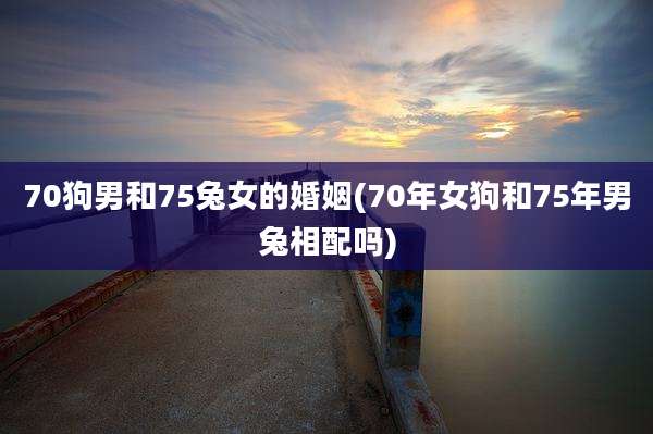 70狗男和75兔女的婚姻(70年女狗和75年男兔相配吗)