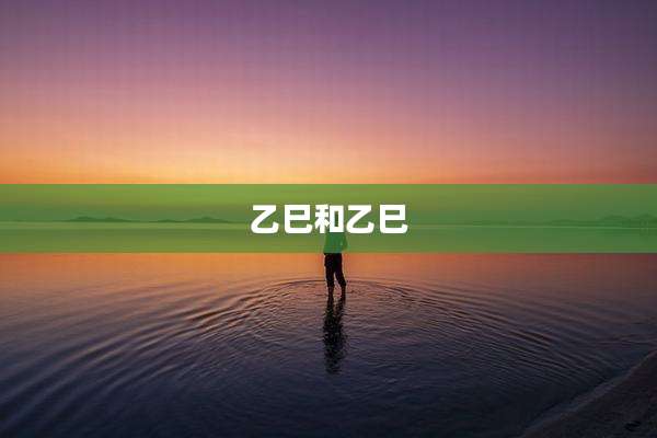 乙巳和乙巳