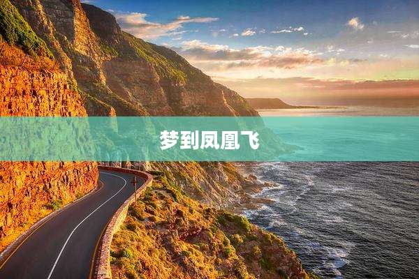梦到凤凰飞