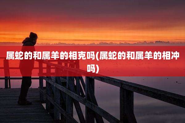属蛇的和属羊的相克吗(属蛇的和属羊的相冲吗)