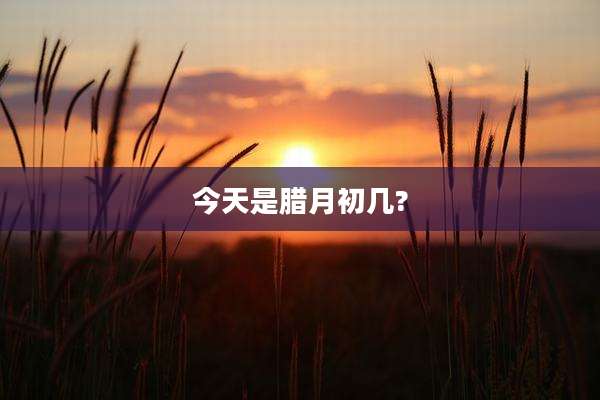 今天是腊月初几?
