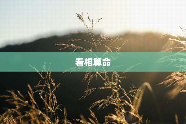 看相算命