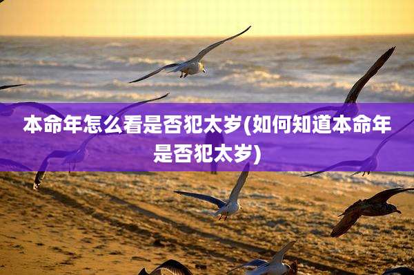 本命年怎么看是否犯太岁(如何知道本命年是否犯太岁)