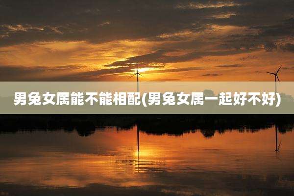 男兔女属能不能相配(男兔女属一起好不好)