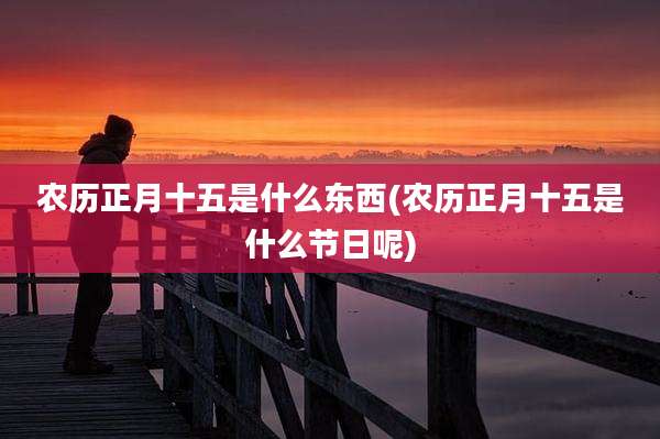 农历正月十五是什么东西(农历正月十五是什么节日呢)