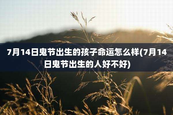 7月14日鬼节出生的孩子命运怎么样(7月14日鬼节出生的人好不好)