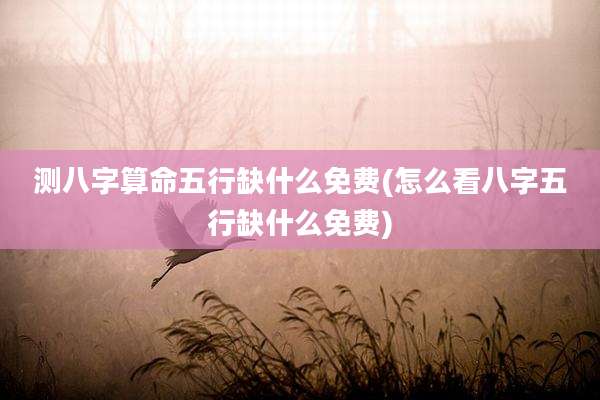 测八字算命五行缺什么免费(怎么看八字五行缺什么免费)