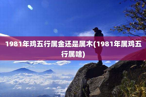 1981年鸡五行属金还是属木(1981年属鸡五行属啥)