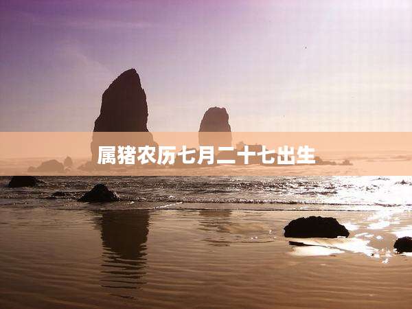 属猪农历七月二十七出生
