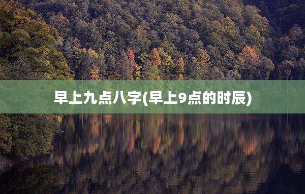 早上九点八字(早上9点的时辰)