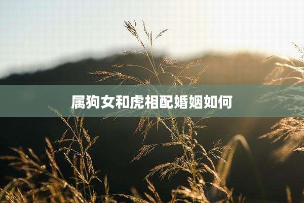 属狗女和虎相配婚姻如何