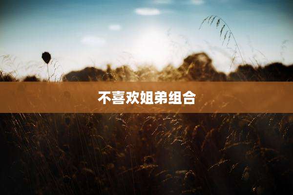 不喜欢姐弟组合