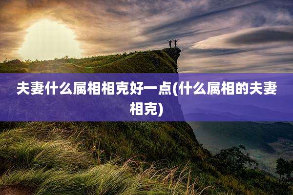 夫妻什么属相相克好一点(什么属相的夫妻相克)