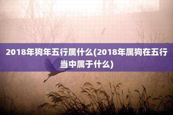 2018年狗年五行属什么(2018年属狗在五行当中属于什么)